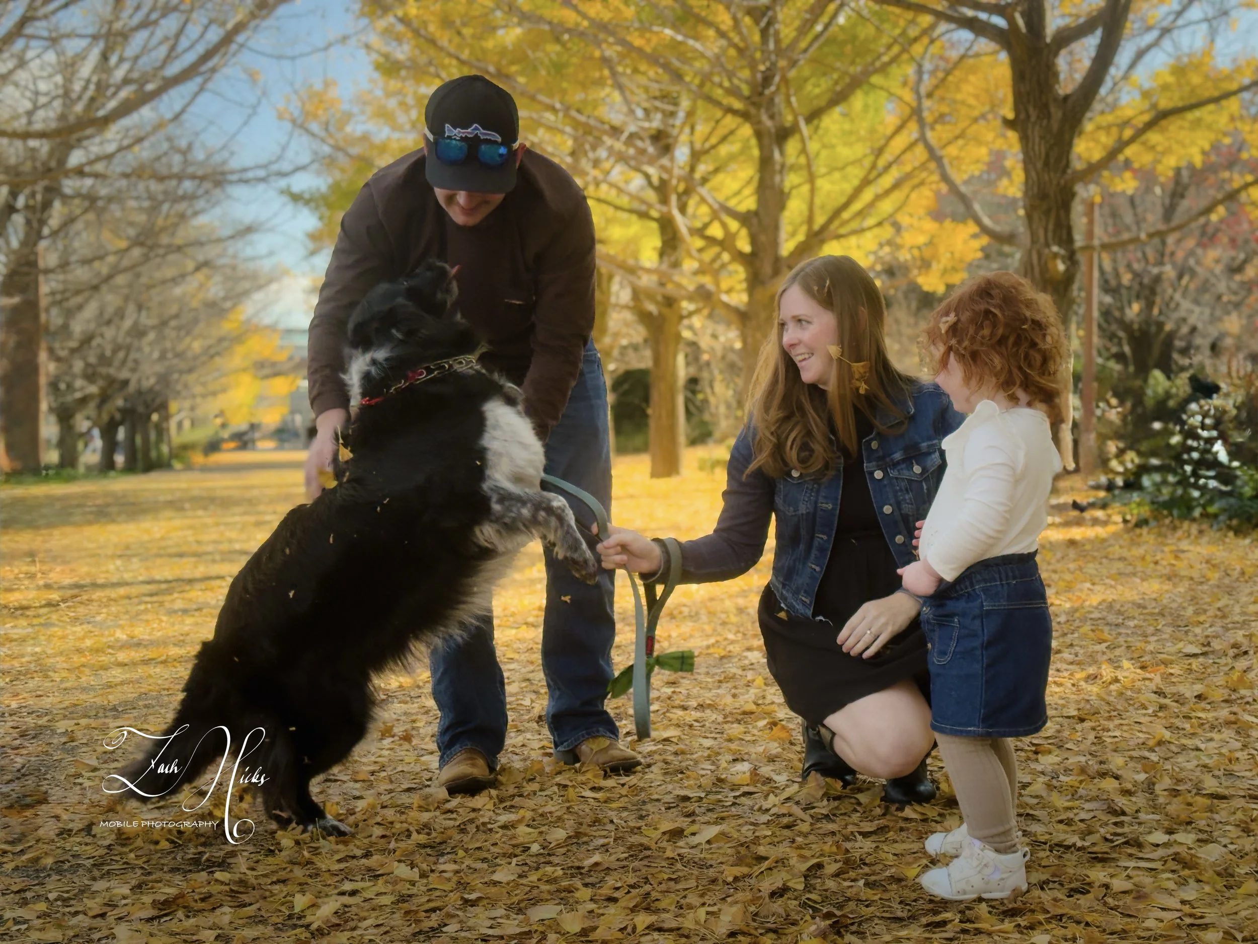 A person and two children playing with a black and white dog in a park during fall, with yellow and orange leaves on the trees and ground.