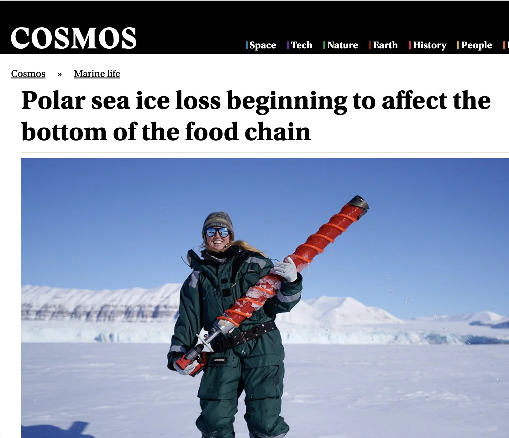 Cosmos.jpg