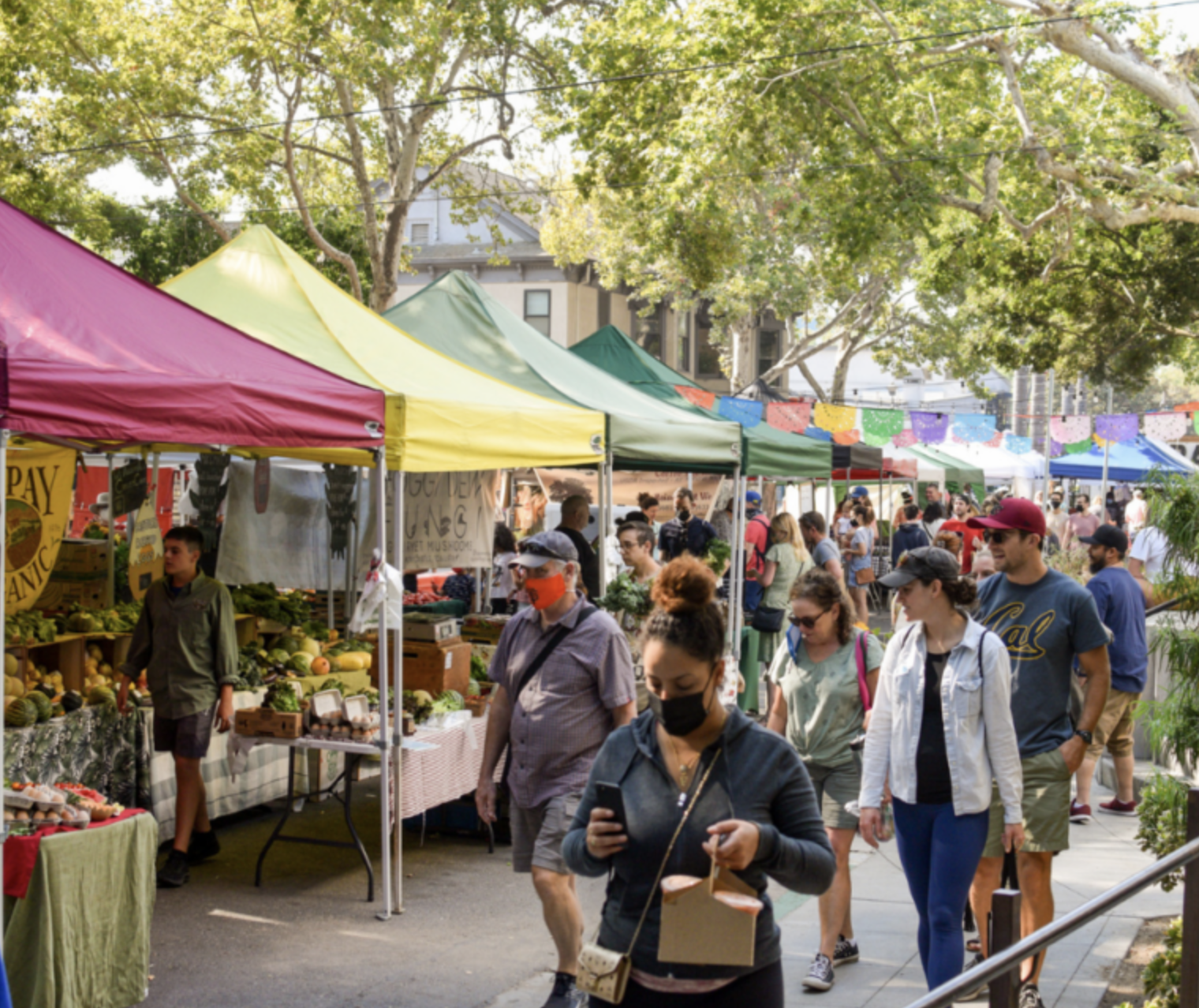 Every Saturday - Signature Gathering at Sacramento's Midtown Farmers Market