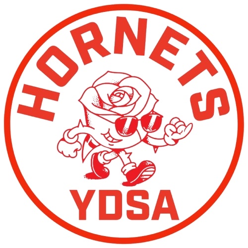 HYDSA logo.png
