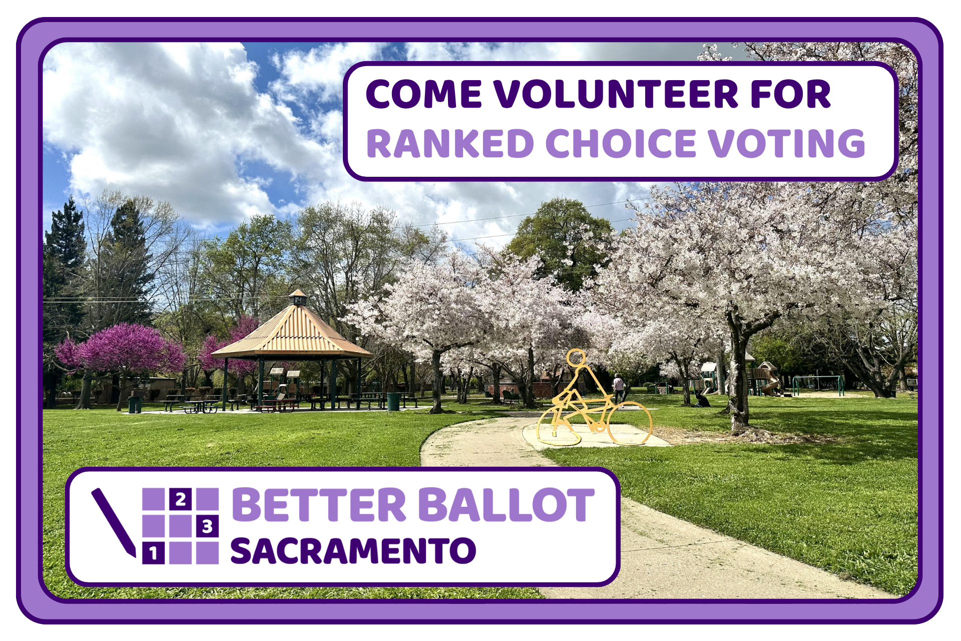 South Land Park - Door-to-Door Canvassing - 3 Year Launch Anniversary!