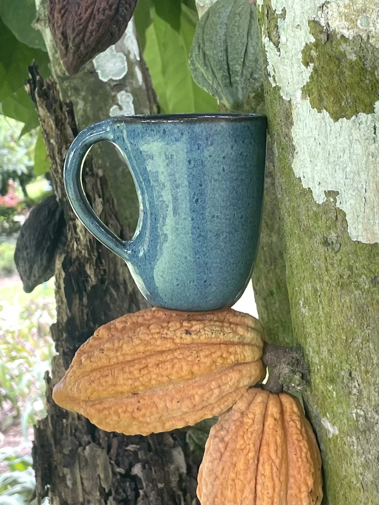 Puerto Maldonado, Peru