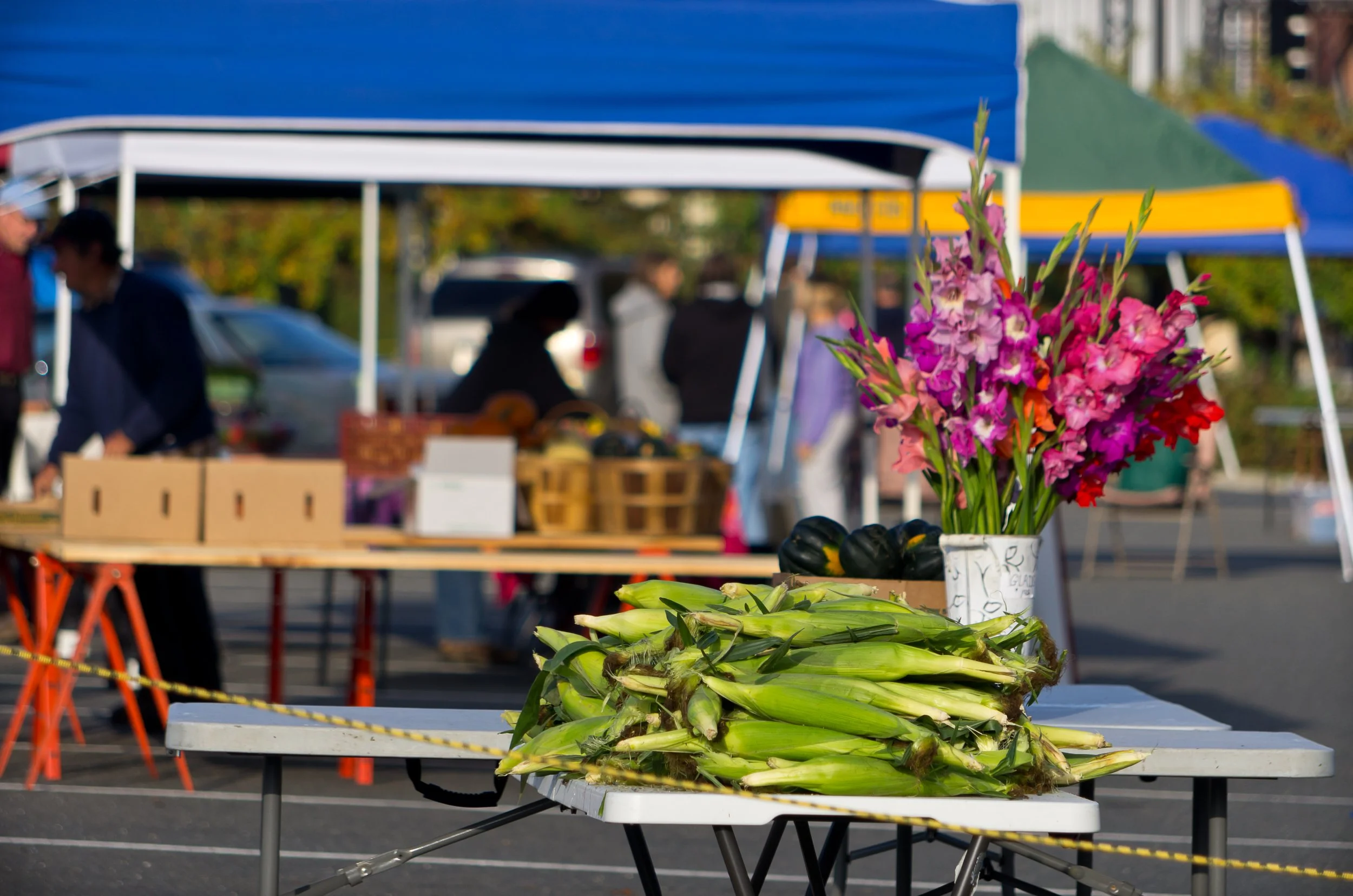 Williamstown Farmers Market