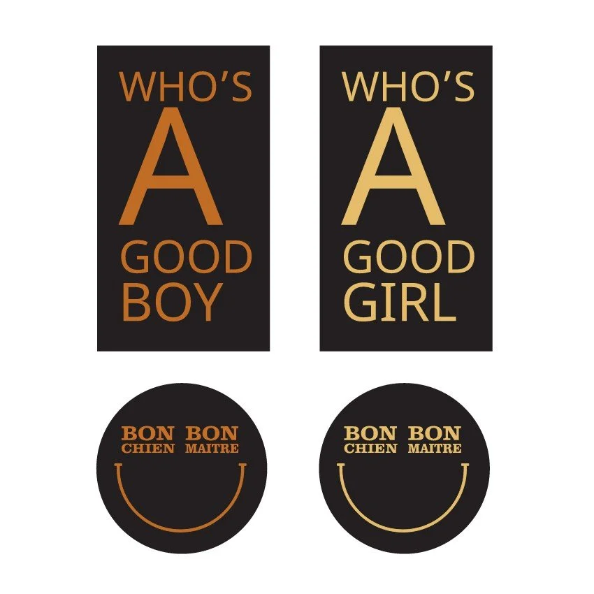 Bilan en visoconférence (plateforme de votre choix)