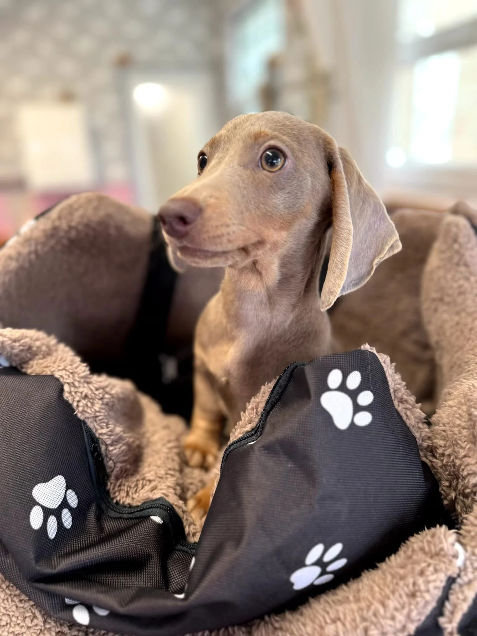 Bilan comportemental, mise en place d'outils et email récapitulatif de l'entretien