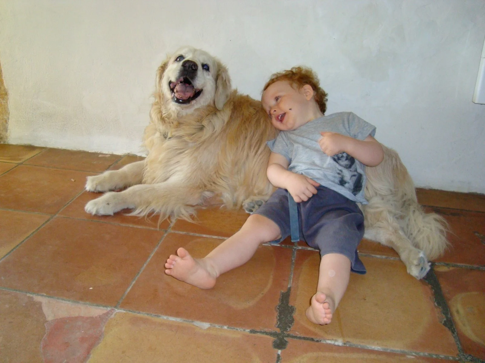 Un jeune garçon blond et souriant est assis sur le sol en face d'un grand chien doré, tous deux semblant s'amuser ensemble.