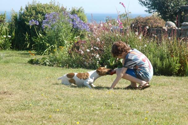 Un garçon jouant avec un chien dans un jardin avec des fleurs et une vue sur la mer en arrière-plan.