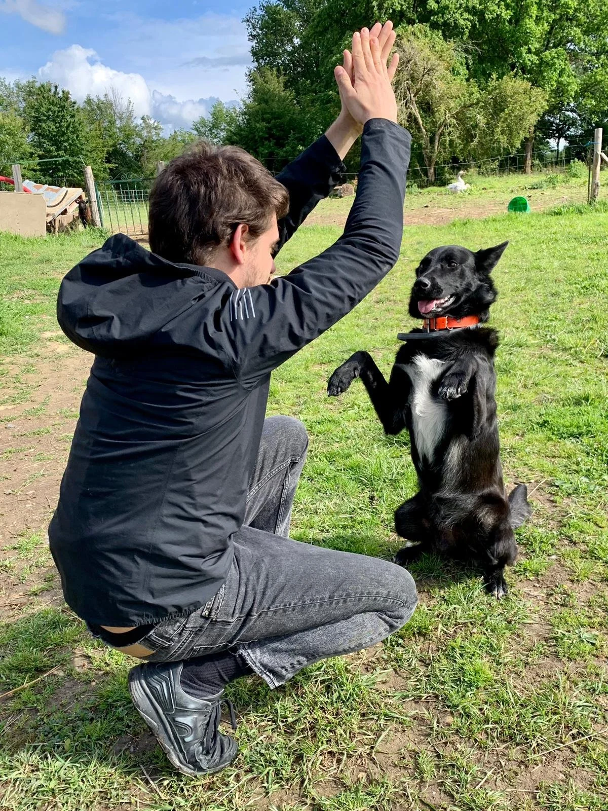 Cours d'éducation d'une heure