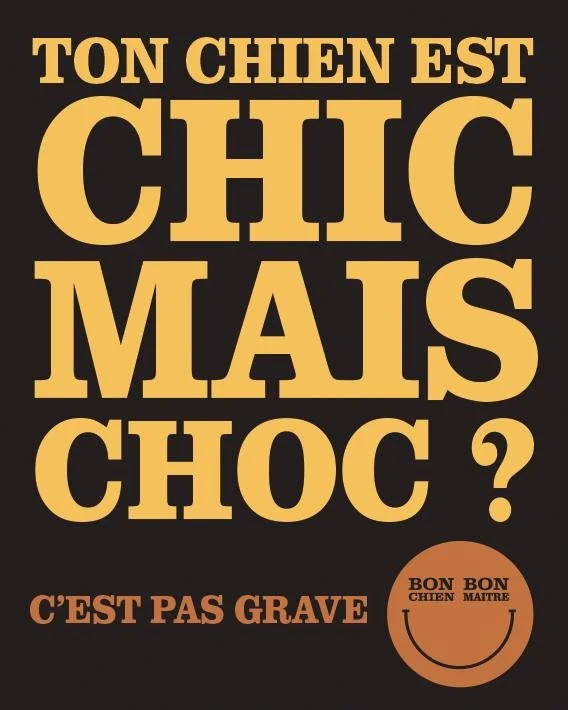 Affiche humoristique avec texte en français, disant "Ton chien est chic mais choc ? C'est pas grave". Inclut un smiley avec la mention "Bon chien maître".