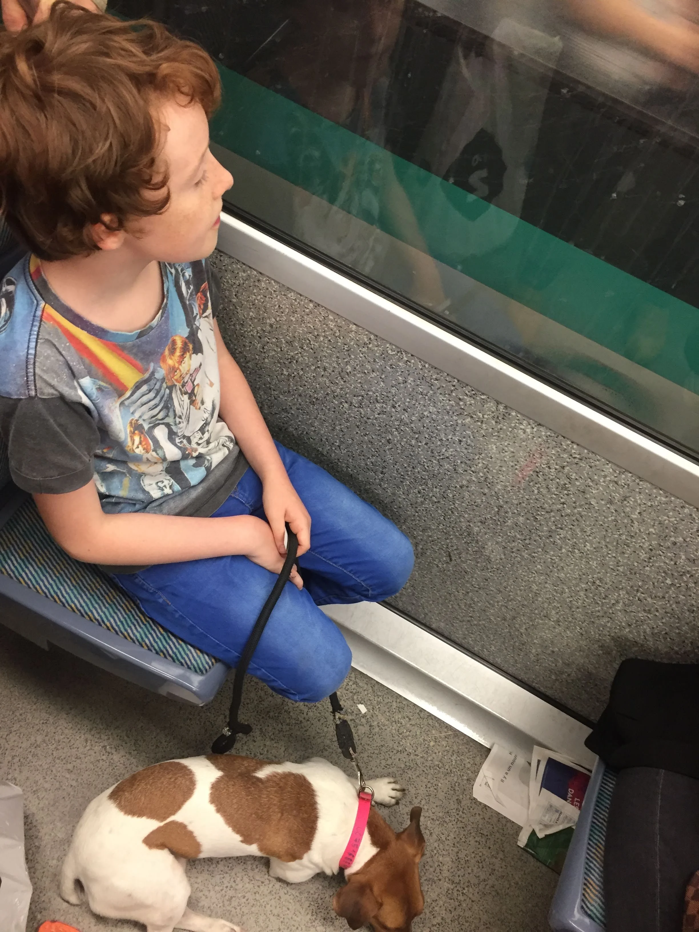 Un garçon aux cheveux roux et habillé d'un t-shirt avec des personnages de dessins animés, assis sur un siège de train ou de bus, regardant par la fenêtre. À ses côtés, un chien de race Jack Russell, allongé par terre, portant un collier rose, avec la laisse dans sa main.