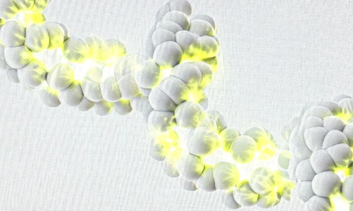 Neuroplastizität und Hypnose in Köln