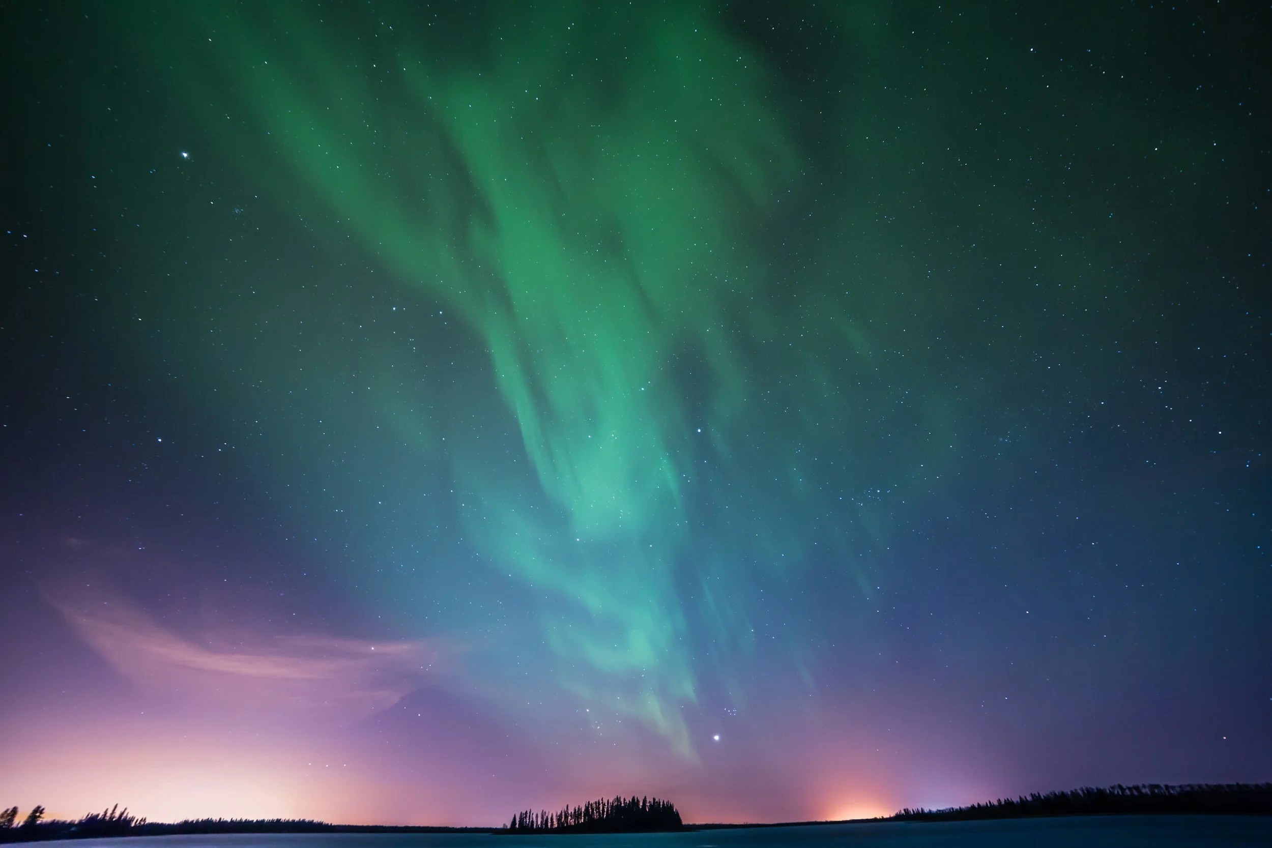 Northern lights, green and purple aurora borealis, in a night sky with stars above a silhouette of a forested landscape.