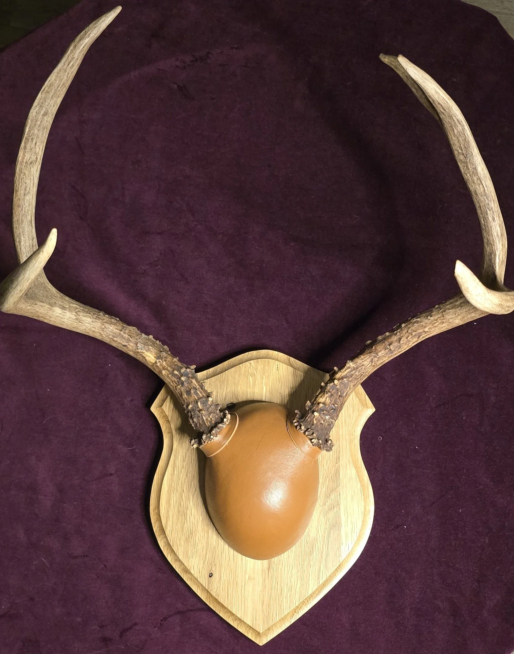 The Wanderer's Crown