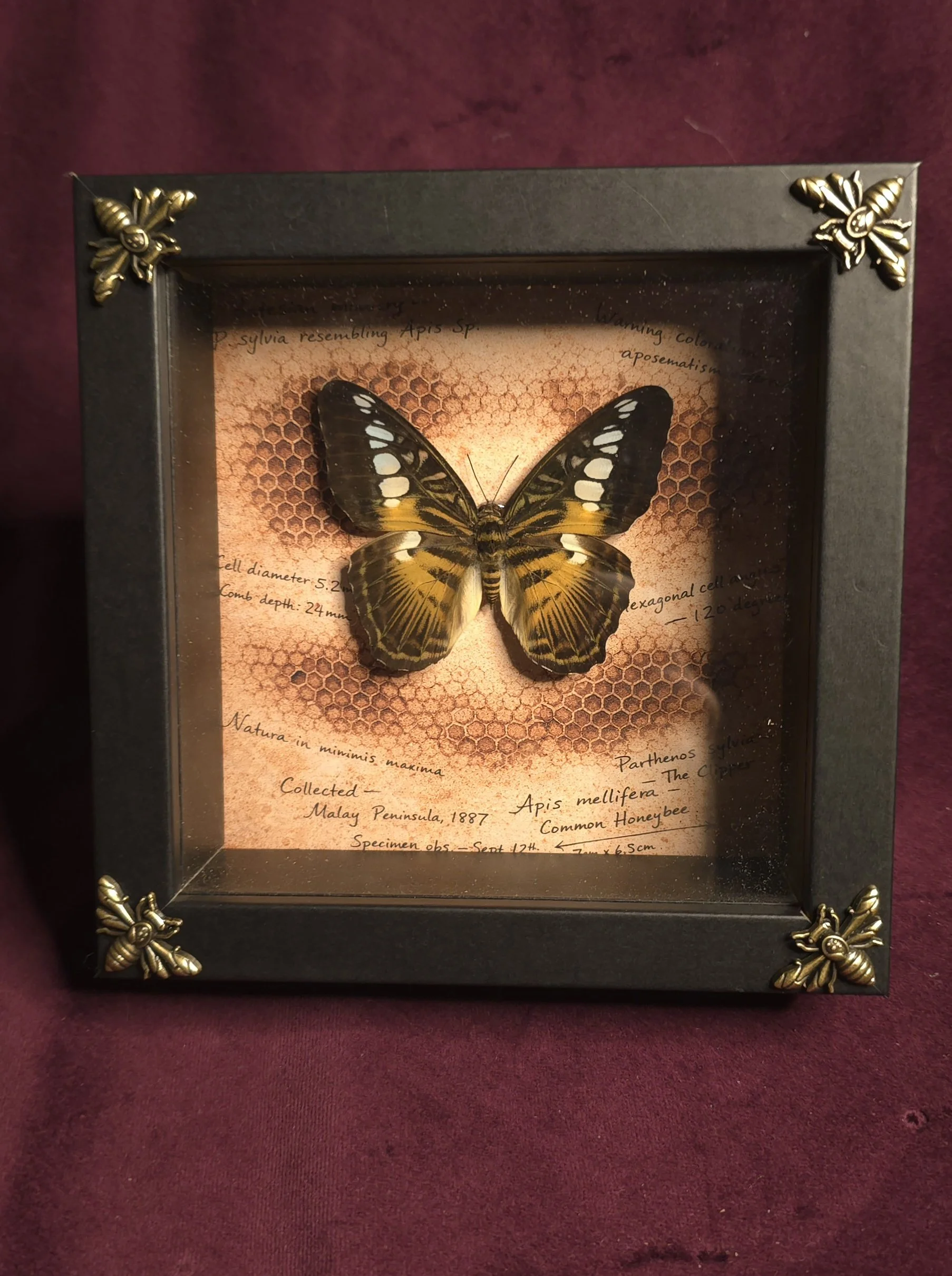 The Apiary Archive