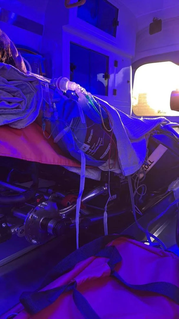 Hospital bed with medical equipment including ventilator and IV, illuminated by purple and yellow lighting through a window.