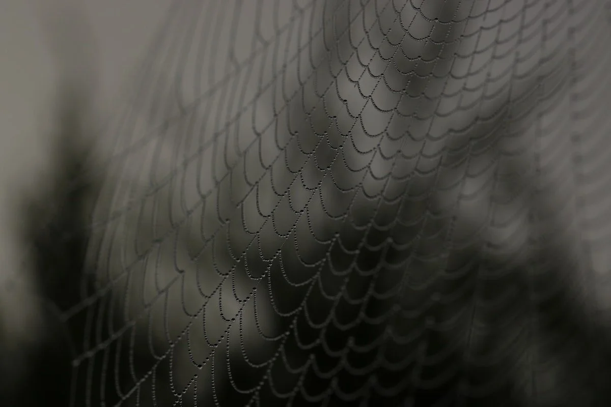 What Security Professionals need to know about Dark Web Forums