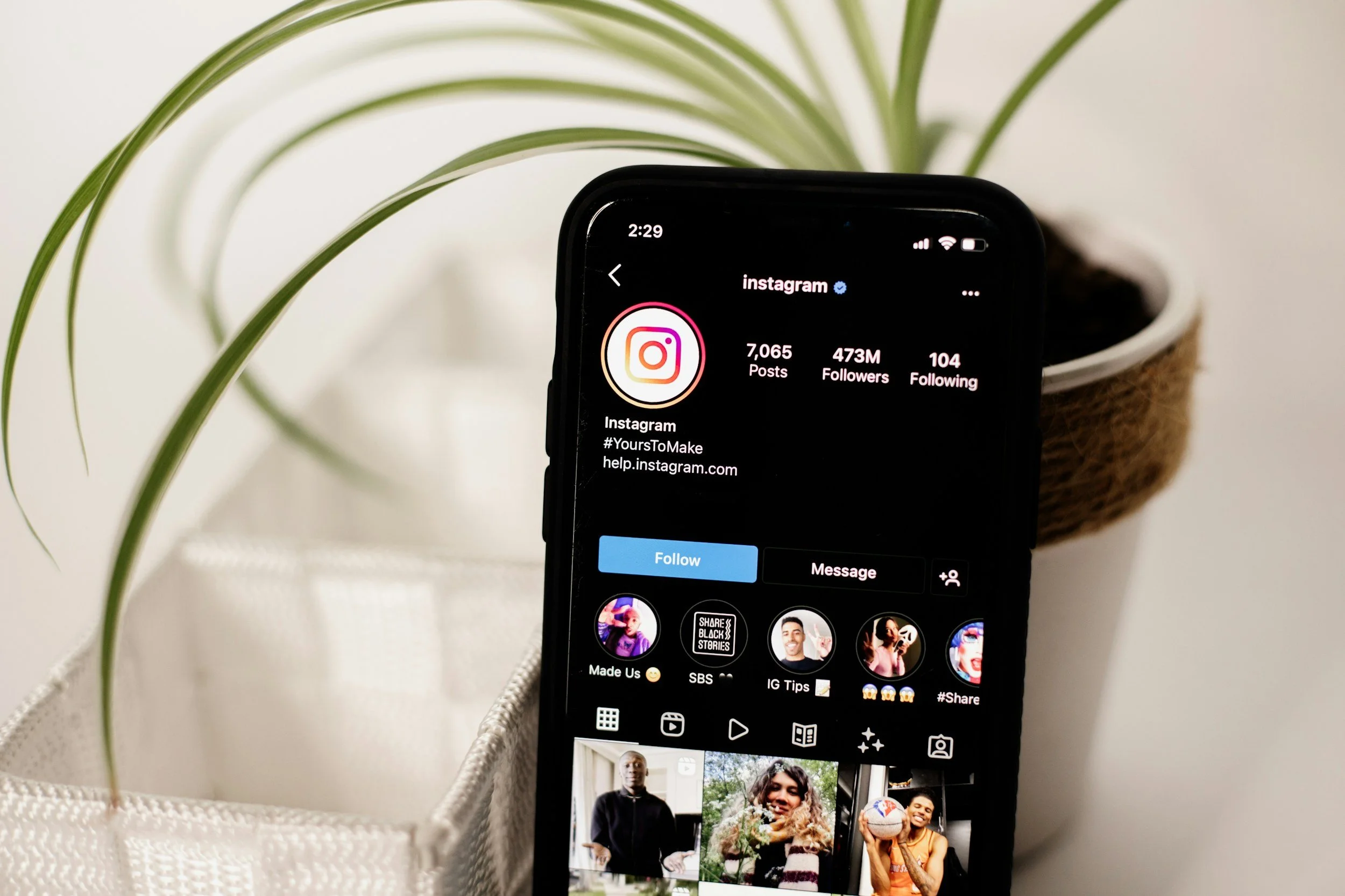 A smartphone displaying an Instagram profile with the username 'instagram', showing 7,065 posts, 473 million followers, and 104 following, placed in front of a potted plant with long, slender green leaves, inside a white or cream-colored container, and a beige fabric surface.