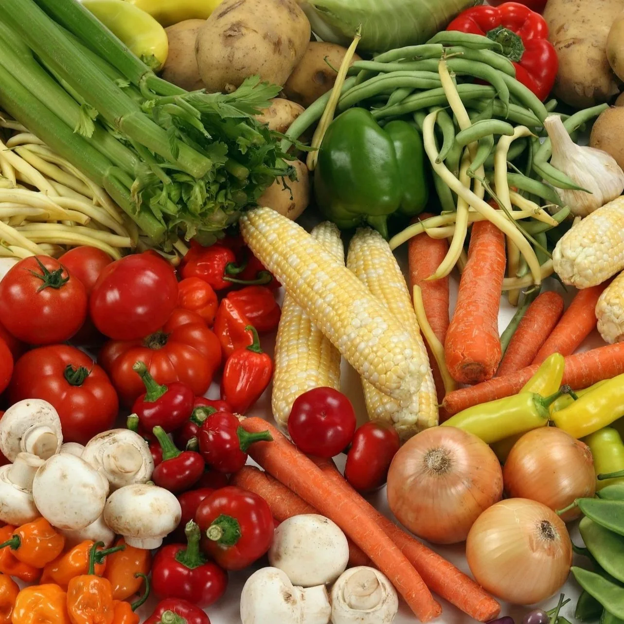 expert consulting services for laboratory quality systems and accreditation