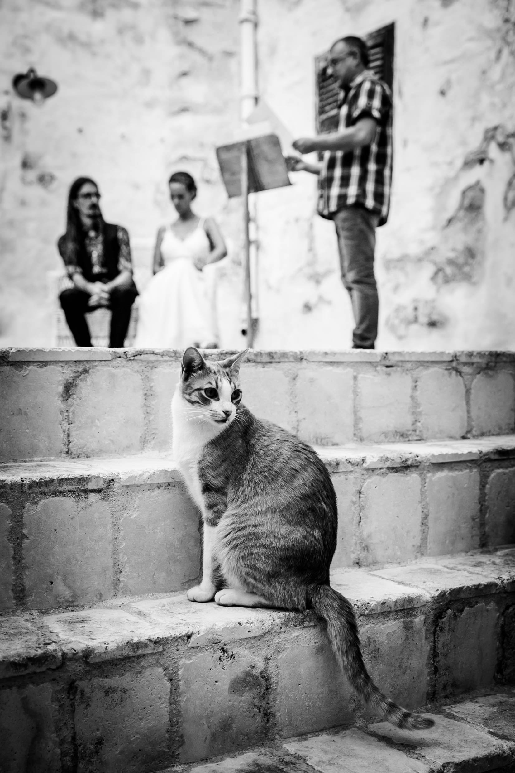 Boda Menorca (42 of 73).jpg