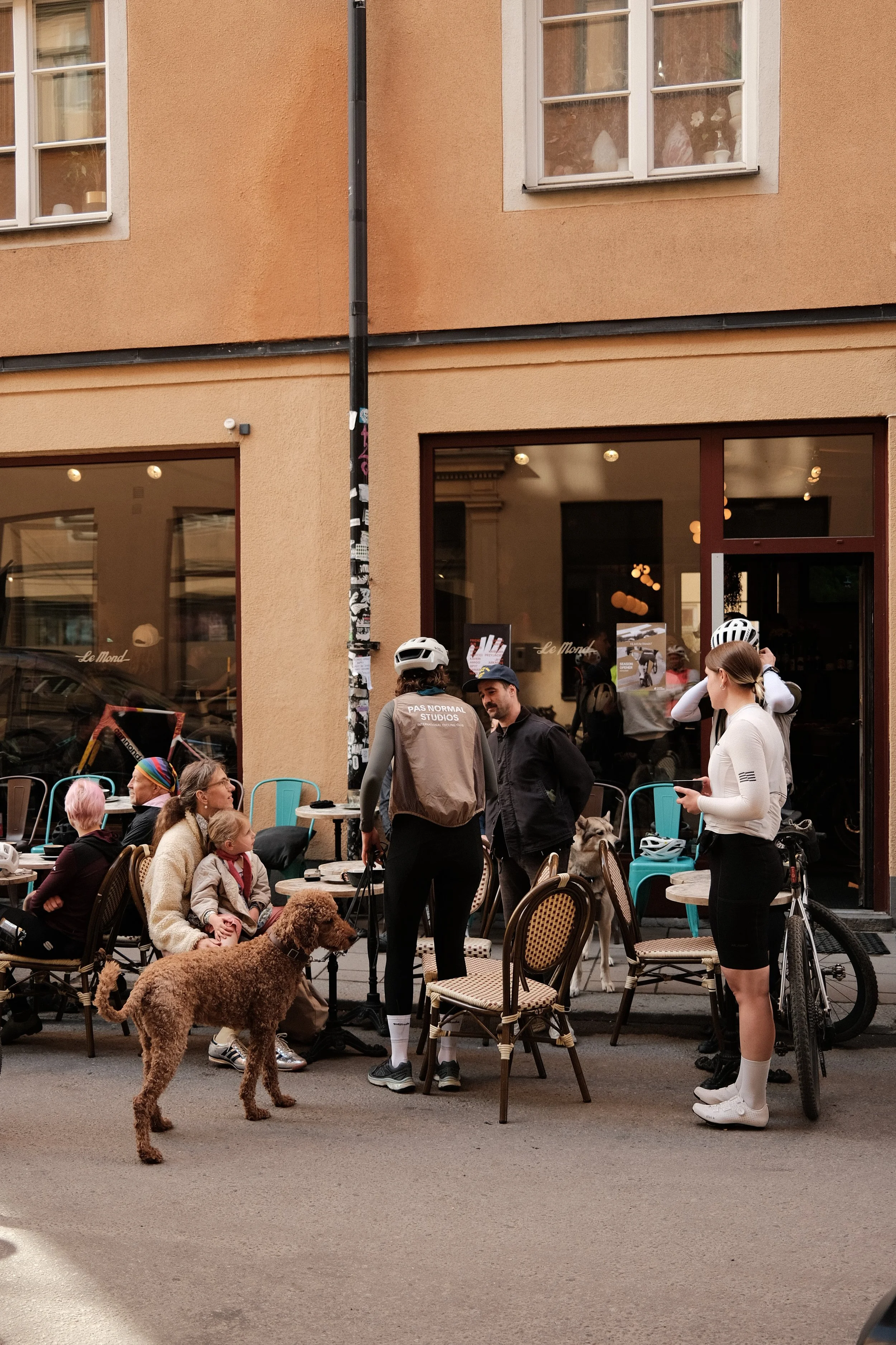 People sitting and standing on a city street outside a café, some with bikes and dogs, with a peach-colored building in the background.