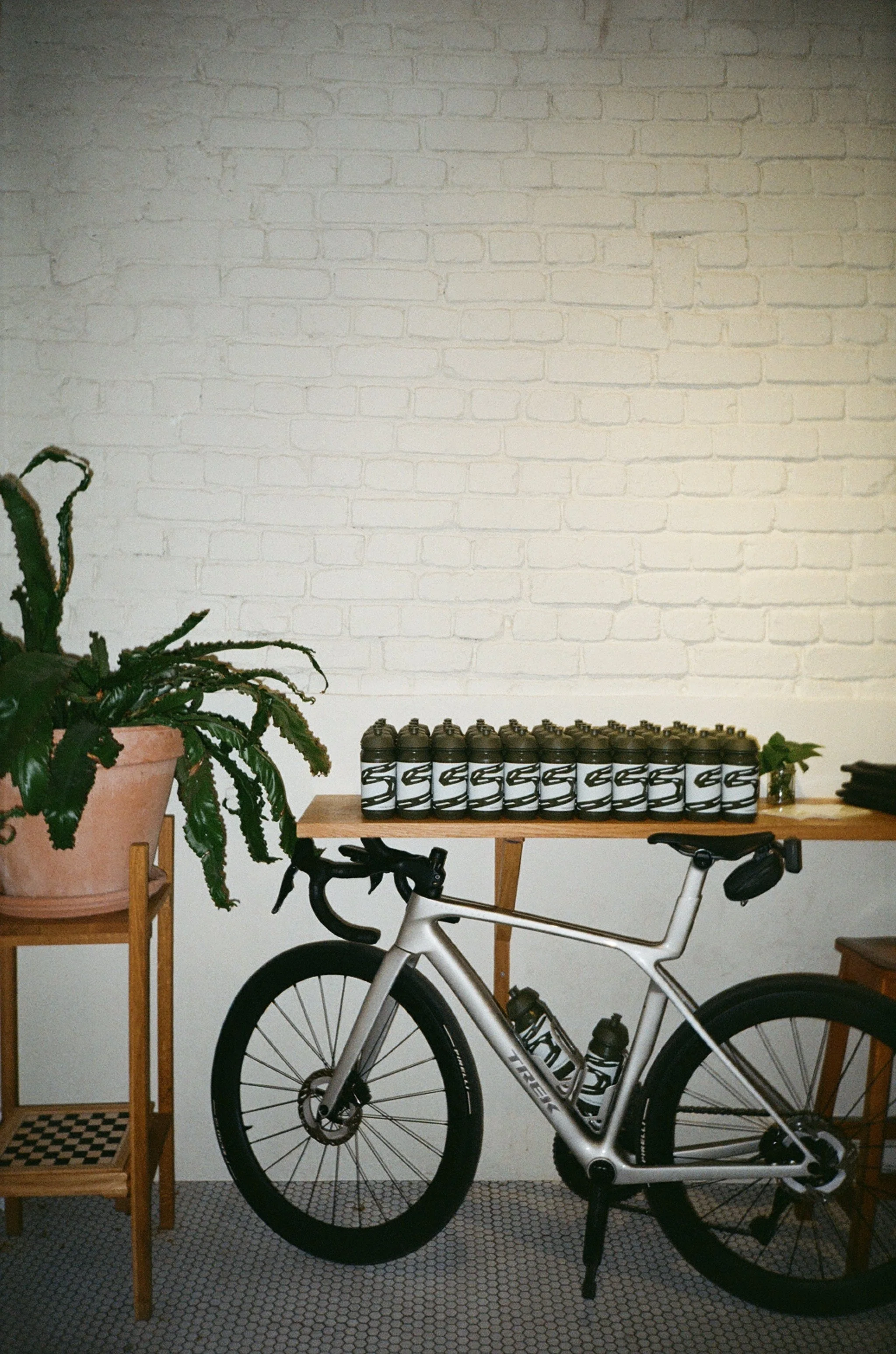 A bicycle leaning against a wooden table, with a large potted plant to the left and a row of black and white water bottles on the table, set against a white brick wall.