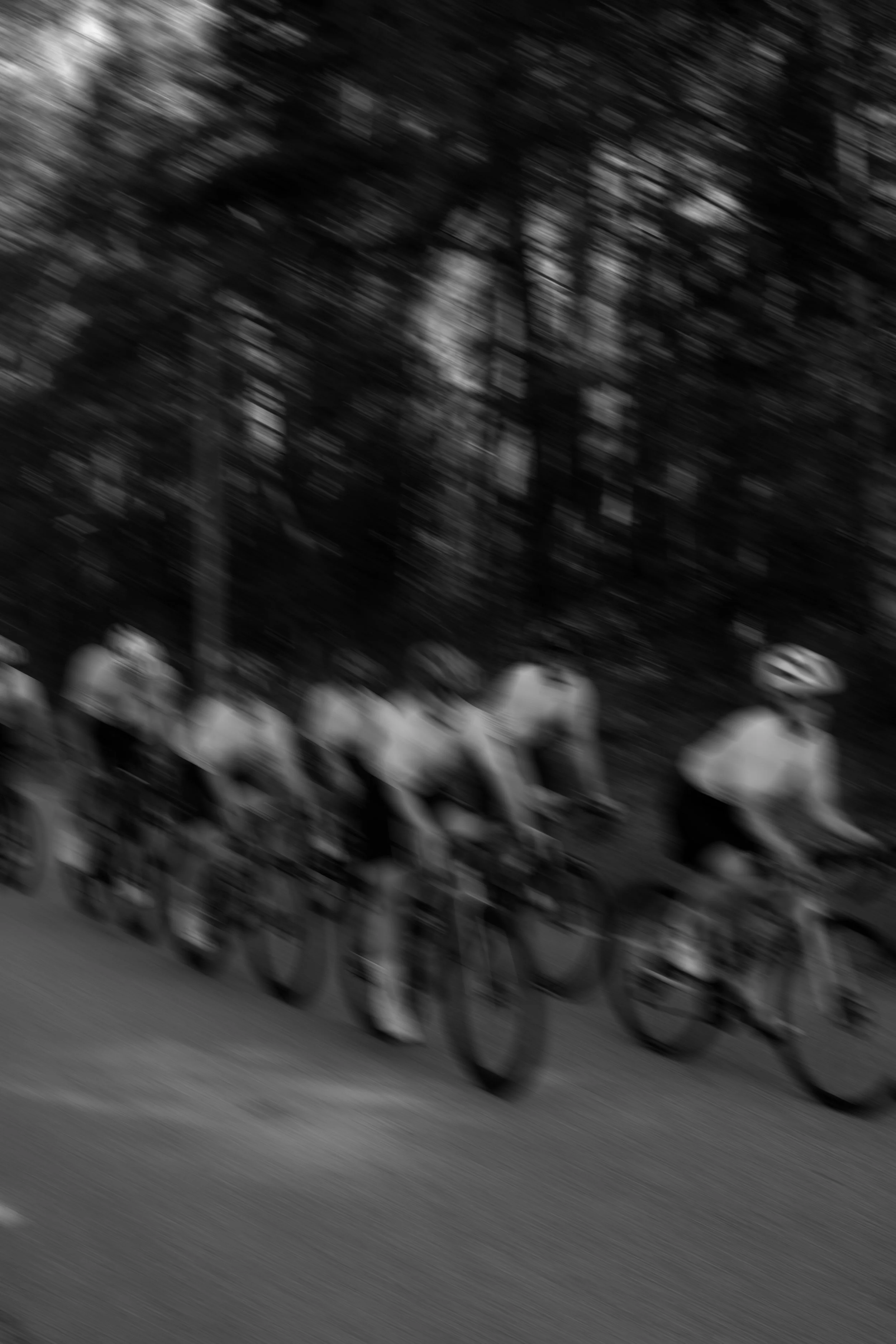 A group of cyclists riding on a road through a wooded area, blurred motion, black and white photo.