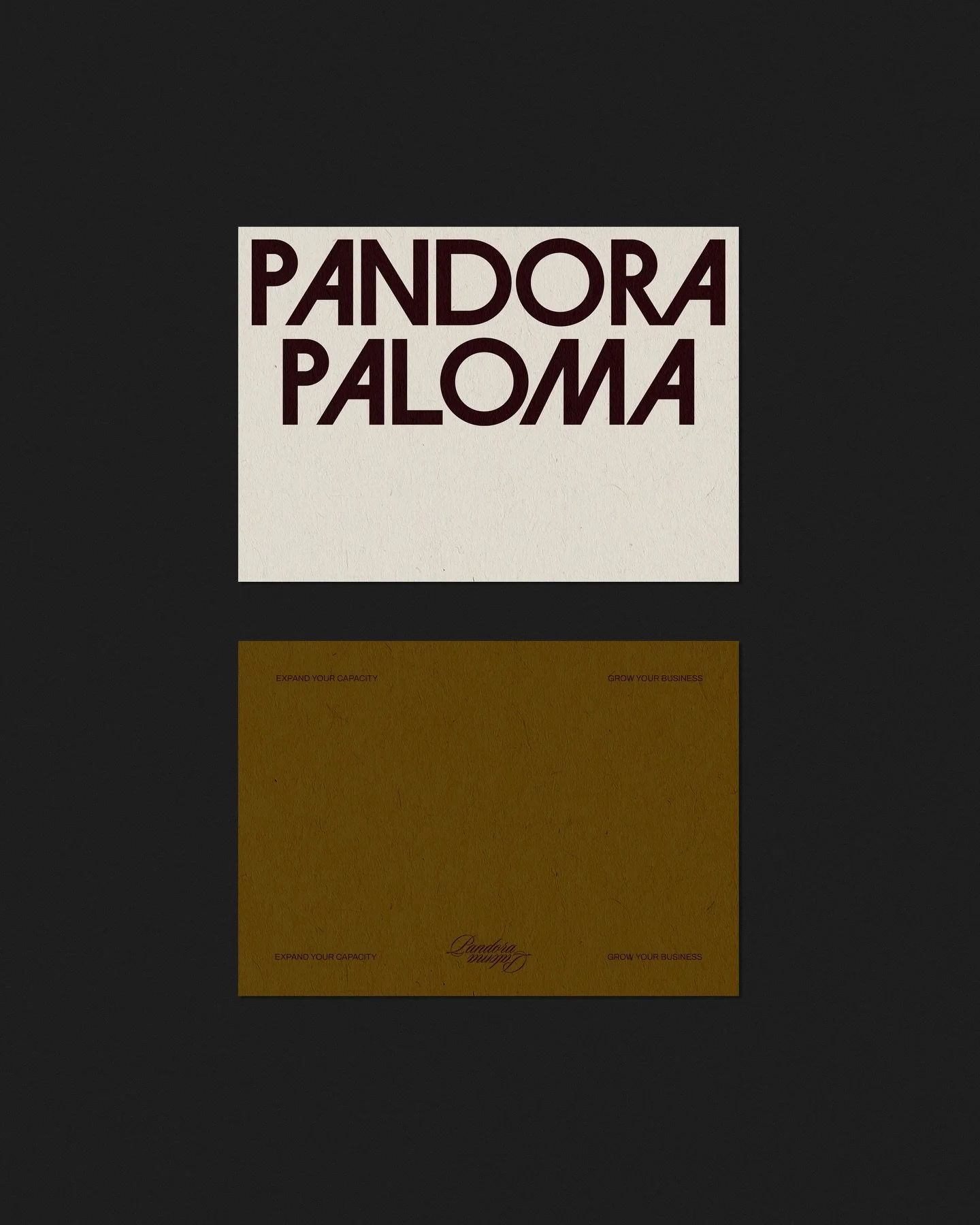 can&rsquo;t chat rn&hellip;I&rsquo;m rebranding 👀

Pandora Paloma 3.0 incoming&hellip;

#rebrand #femaleentreprenuer #expansion 

(Massive thanks to @sisterbrandltd