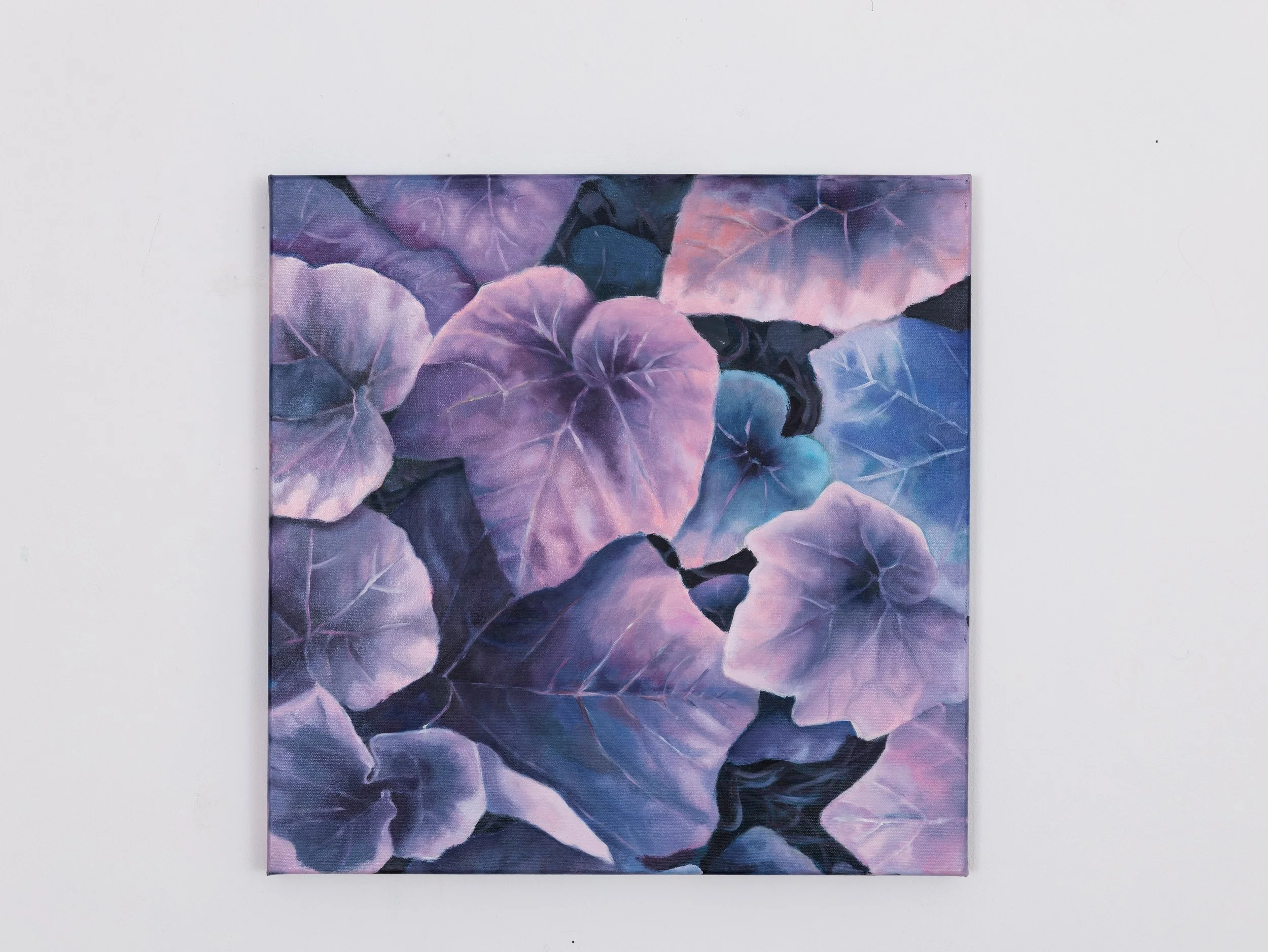 Oil painting 50x50cm