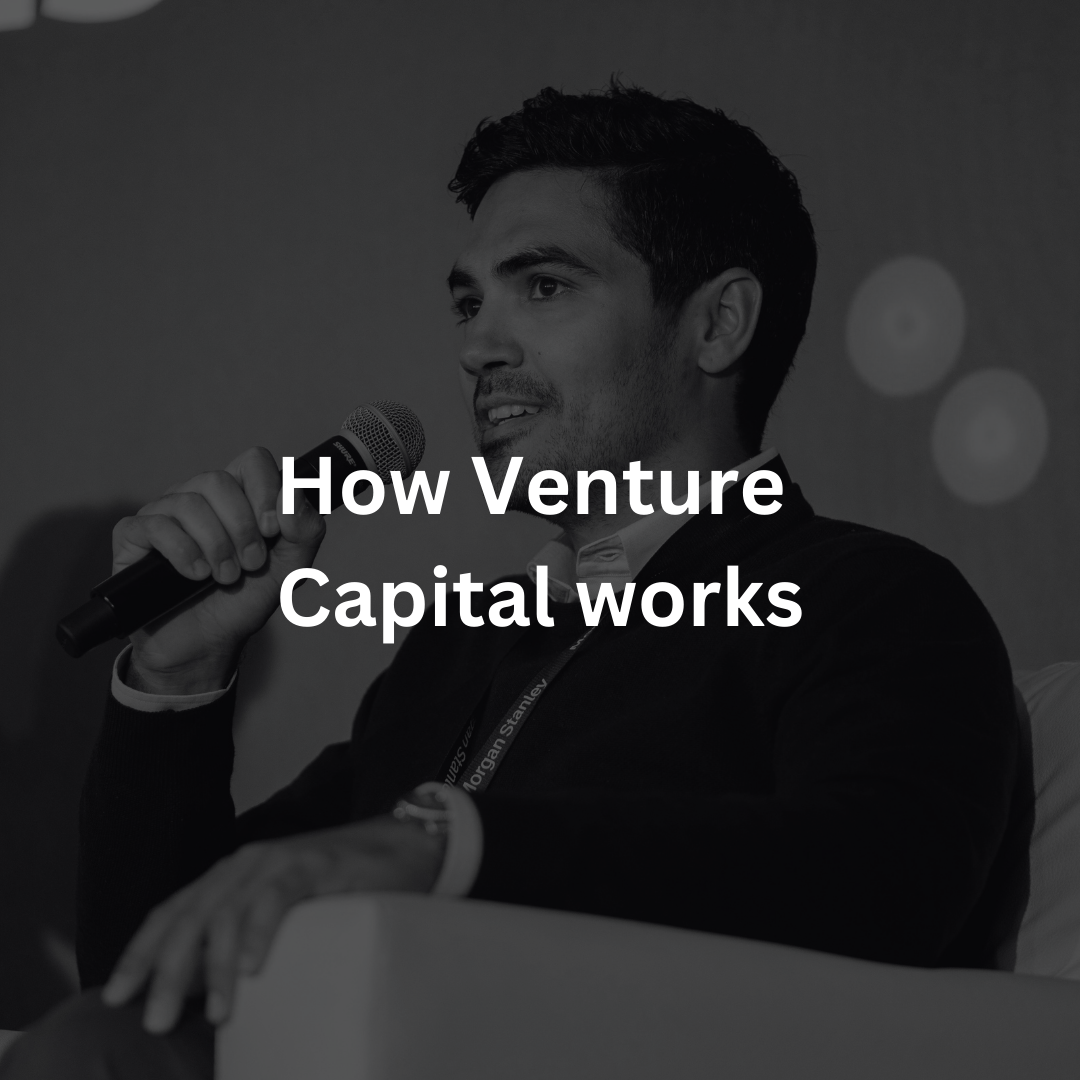 How Venture Capital Works