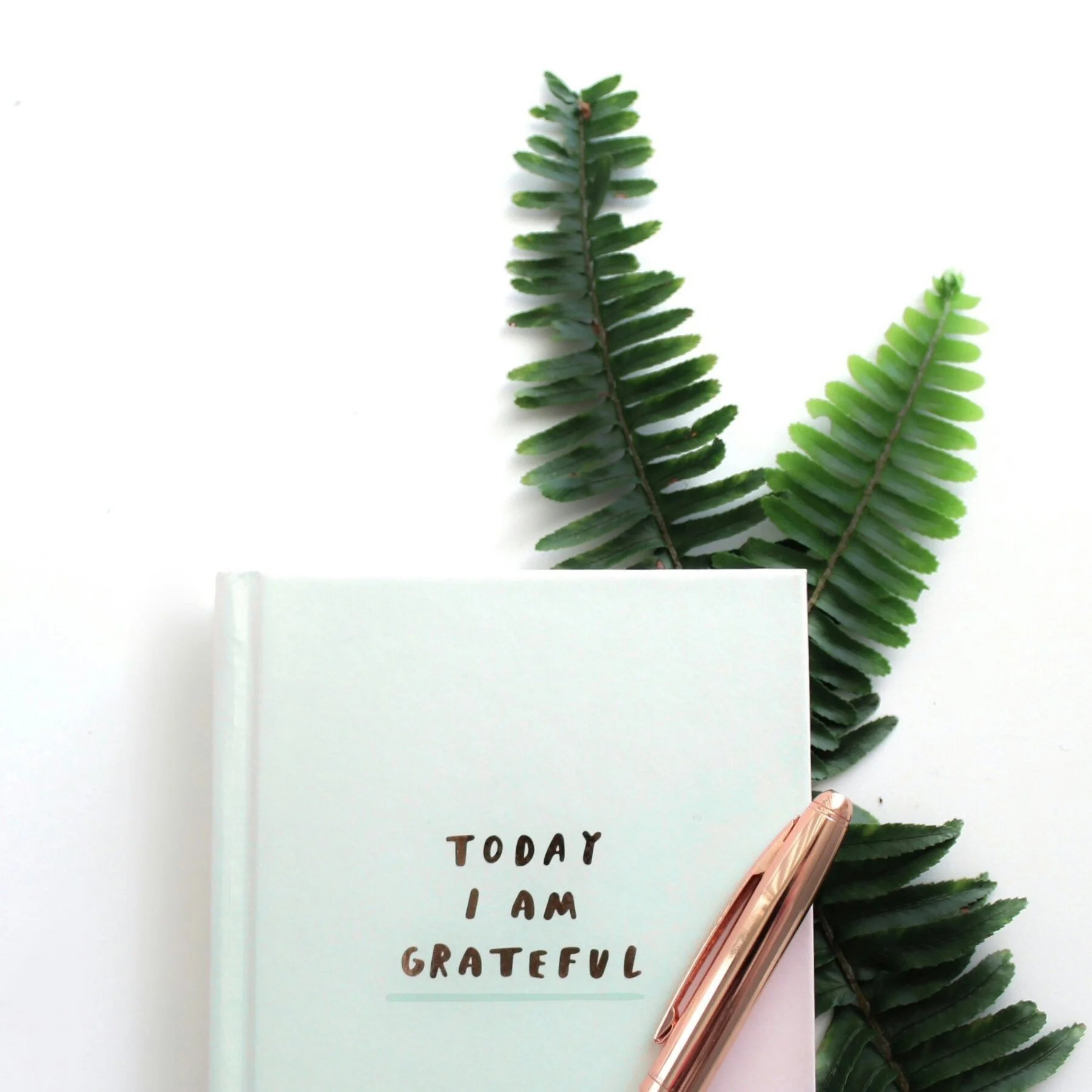 Today is World Gratitude Day, a timely reminder to pause and appreciate the people who make everyday life and work meaningful. 

In the daily rush, it's easy to focus on what comes next rather than acknowledging the support and kindness already aroun