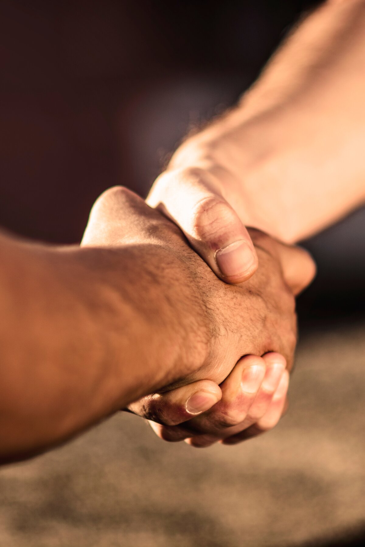 Close-up of two hands shaking with the focus on the handshake.