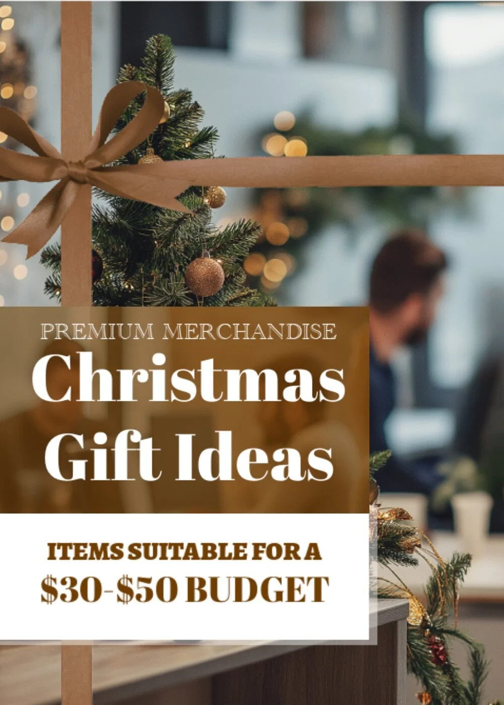 Christmas Gift Ideas ($30-50).jpg