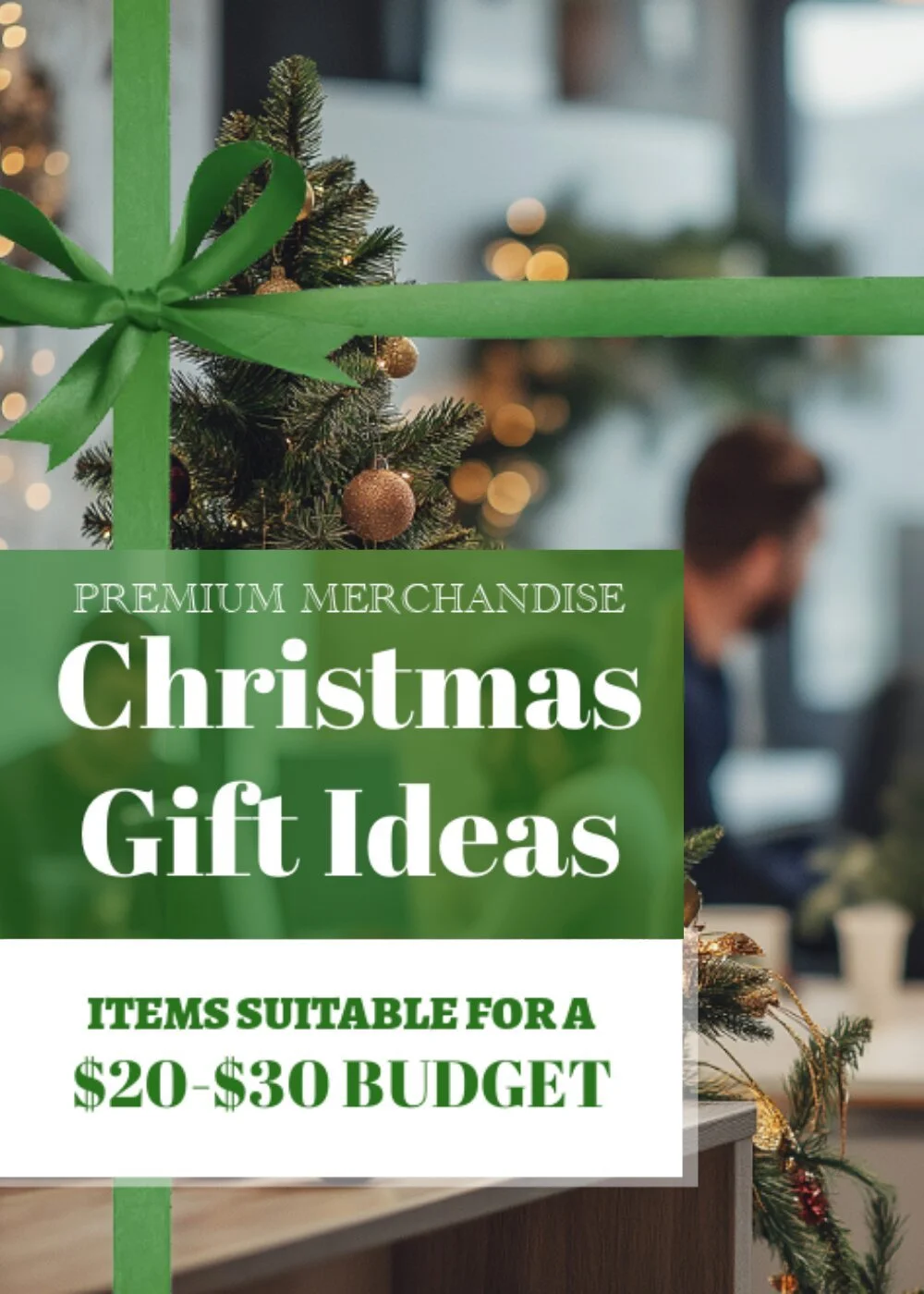 Christmas Gift Ideas ($20-30).jpg