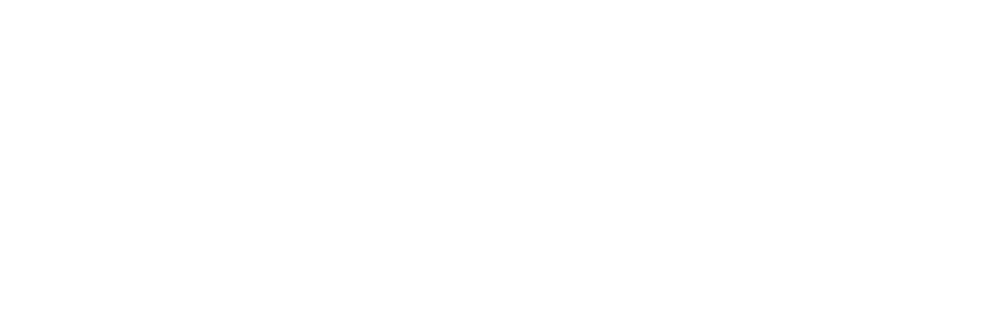 FIBER Festival 2025 (Copy)