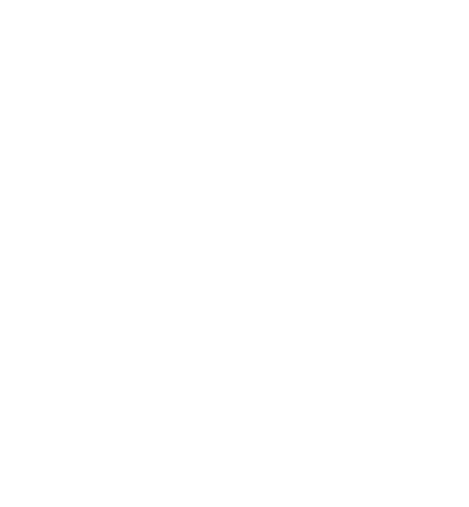 FIBER Festival 2025 (Copy)