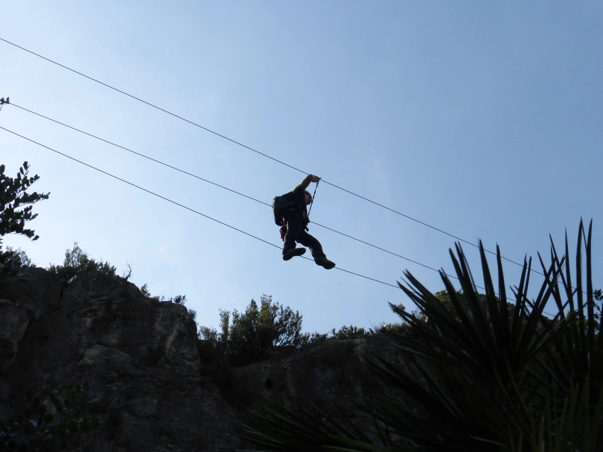 A person rappelling down a rocky cliff with trees and plants nearby, against a blue sky background.