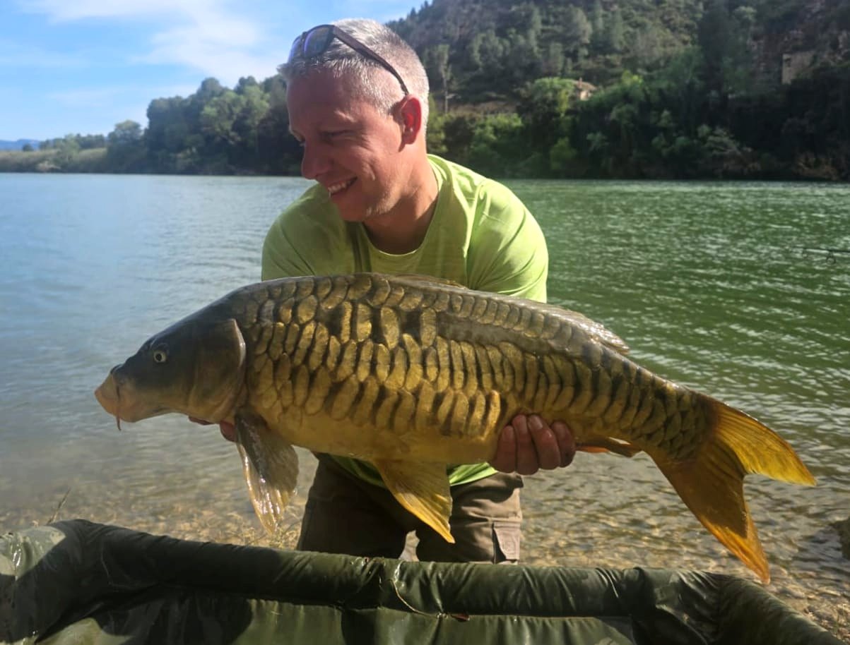 Beautifull Mirror Carp on private swim of Ebroasis. With sceneray and clam river.