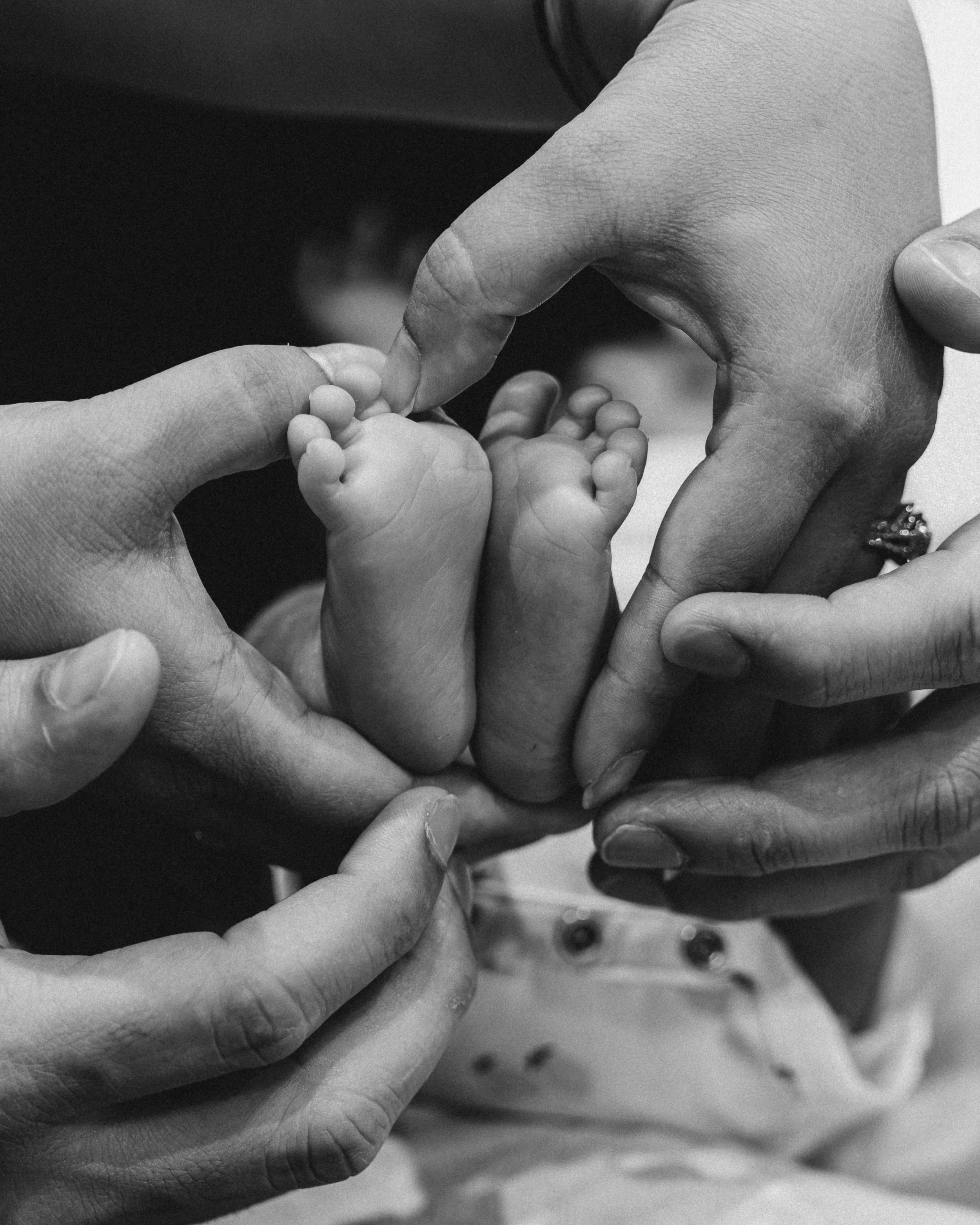 NEWBORN 10-12-25-29.jpg