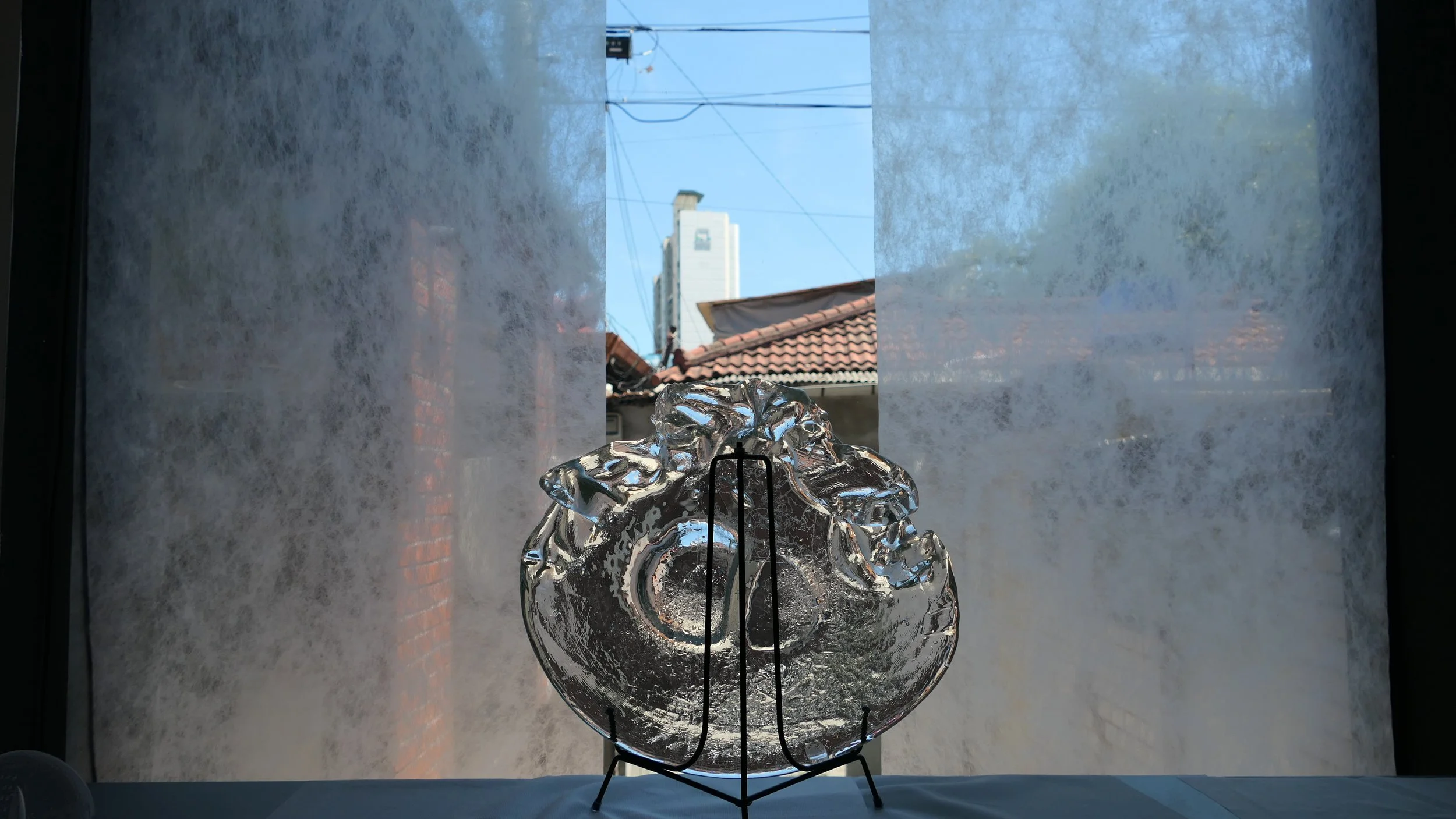 L1057799.JPG
