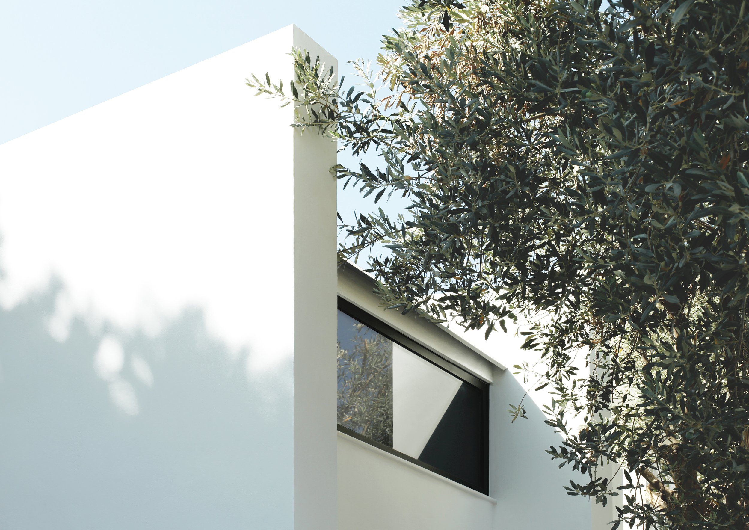 Images Monocabin M — 25m²