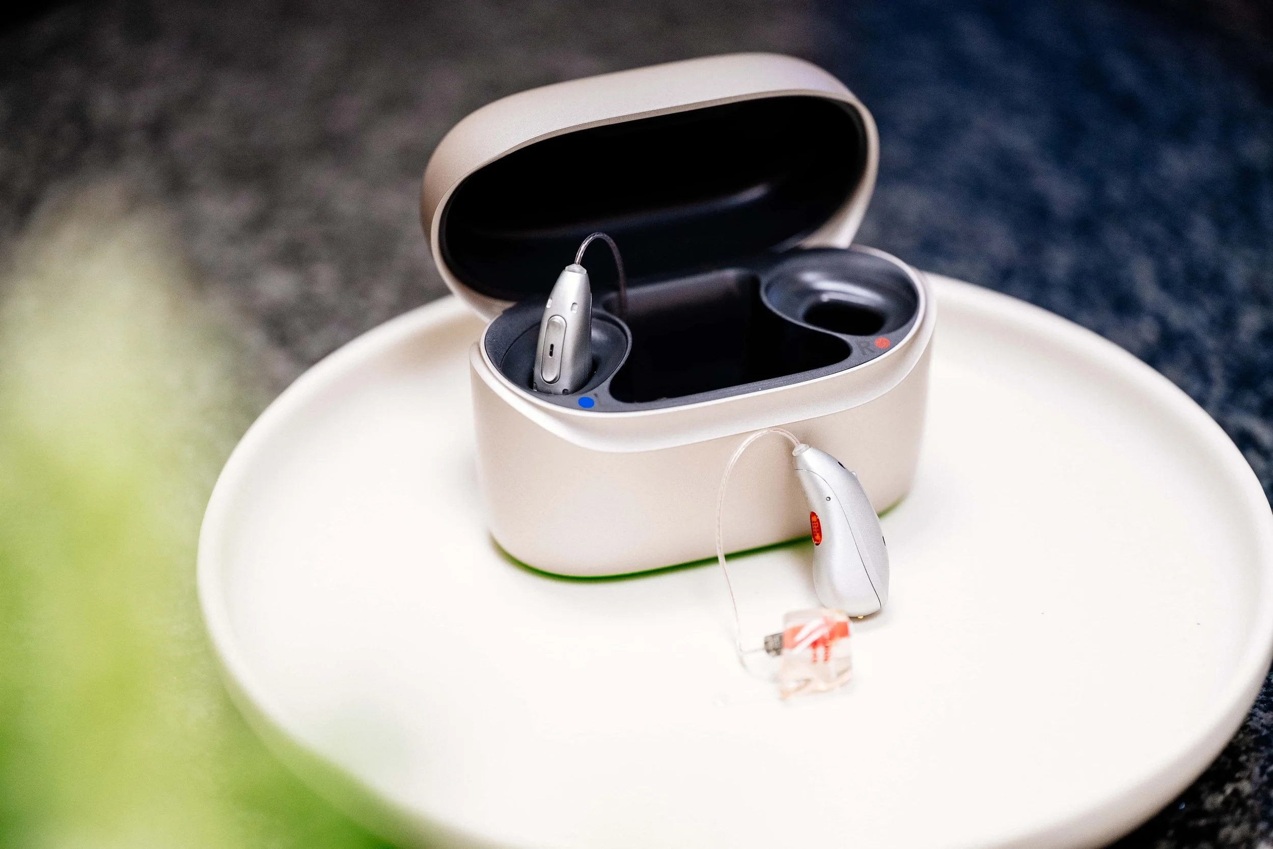 Mayen Eifelohr Website-9.jpg