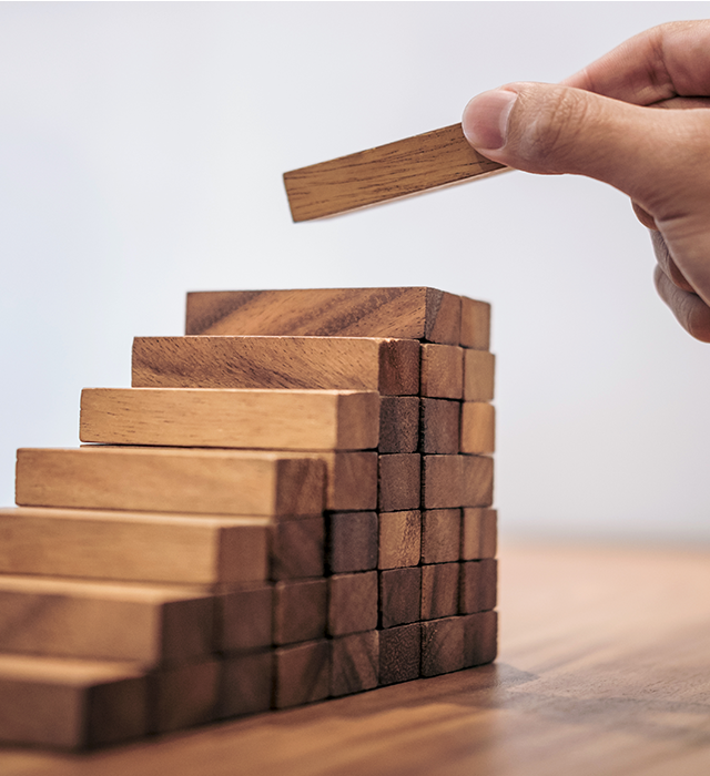 What is Leadership Development