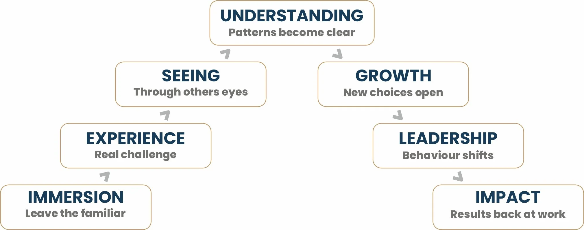 Flowchart illustrating personal development steps, including immersion, experience, seeing, understanding, growth, leadership, impact, with arrows indicating progression.