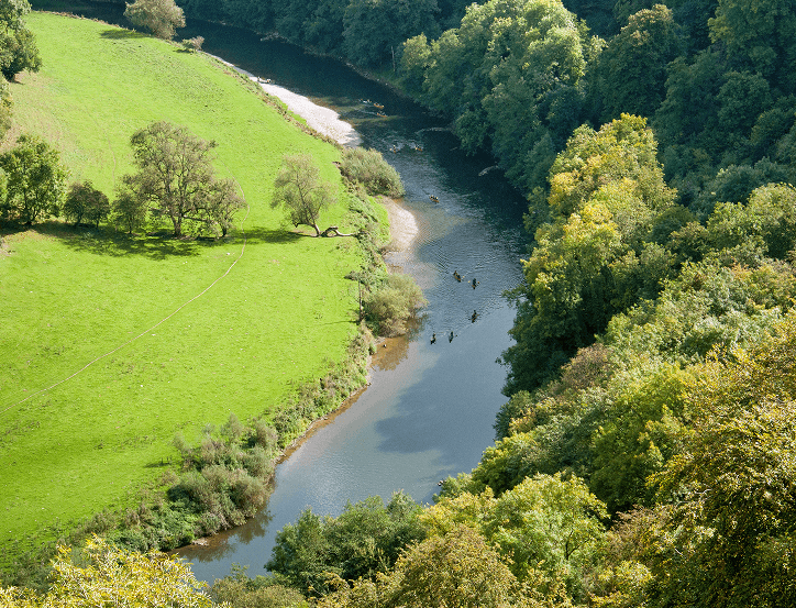 Aerial view of a river winding through lush green forest and grassy fields with scattered trees.