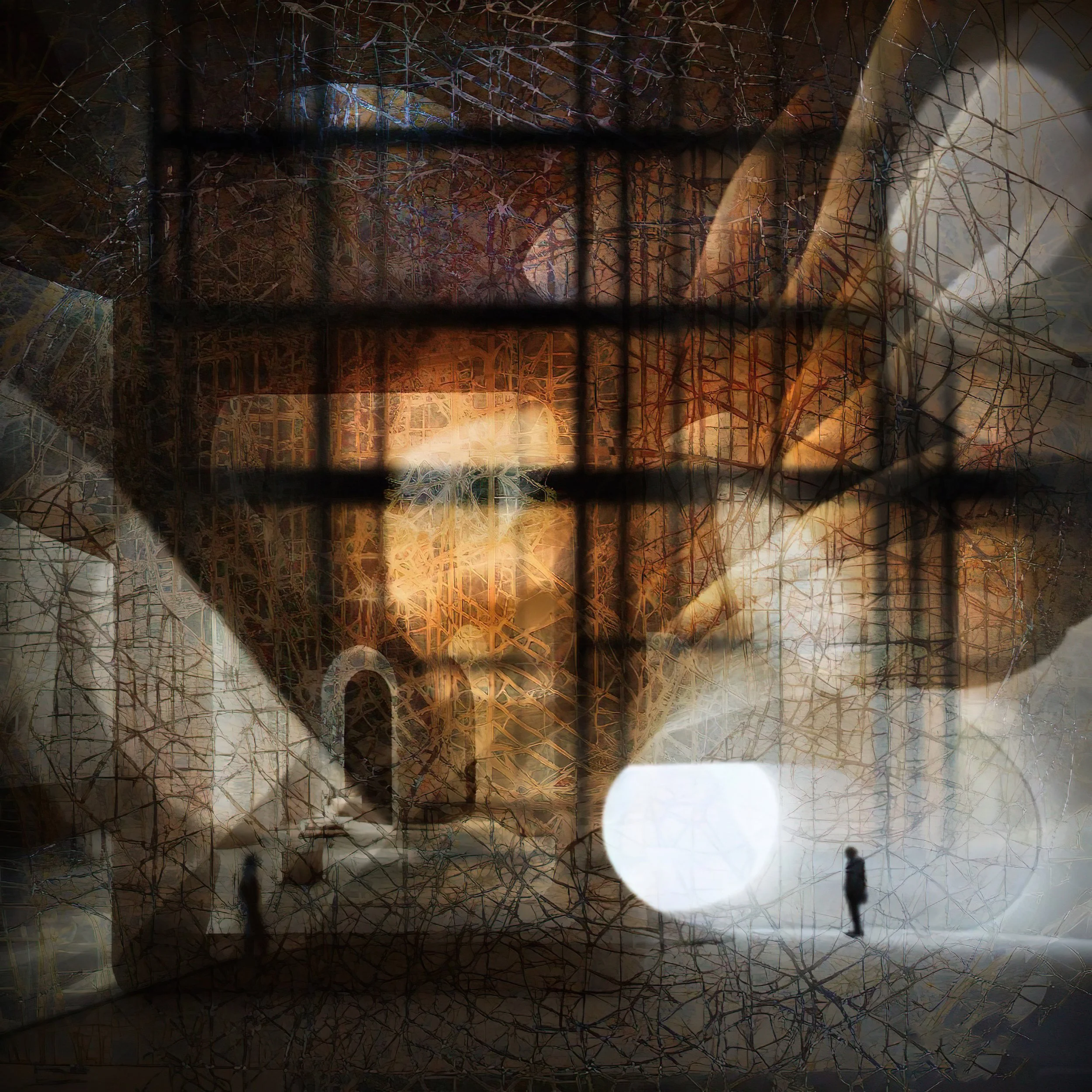 Reflection of a person taking a photograph through a window with bare tree branches inside and a building on the other side, with warm sunlight illuminating part of the scene.