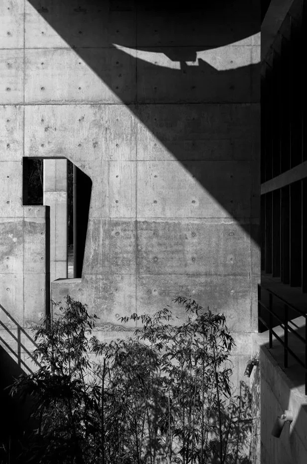 A black and white photo of a concrete building wall with shadows cast across it, a small window, some plants at the bottom, and a railing on the side.