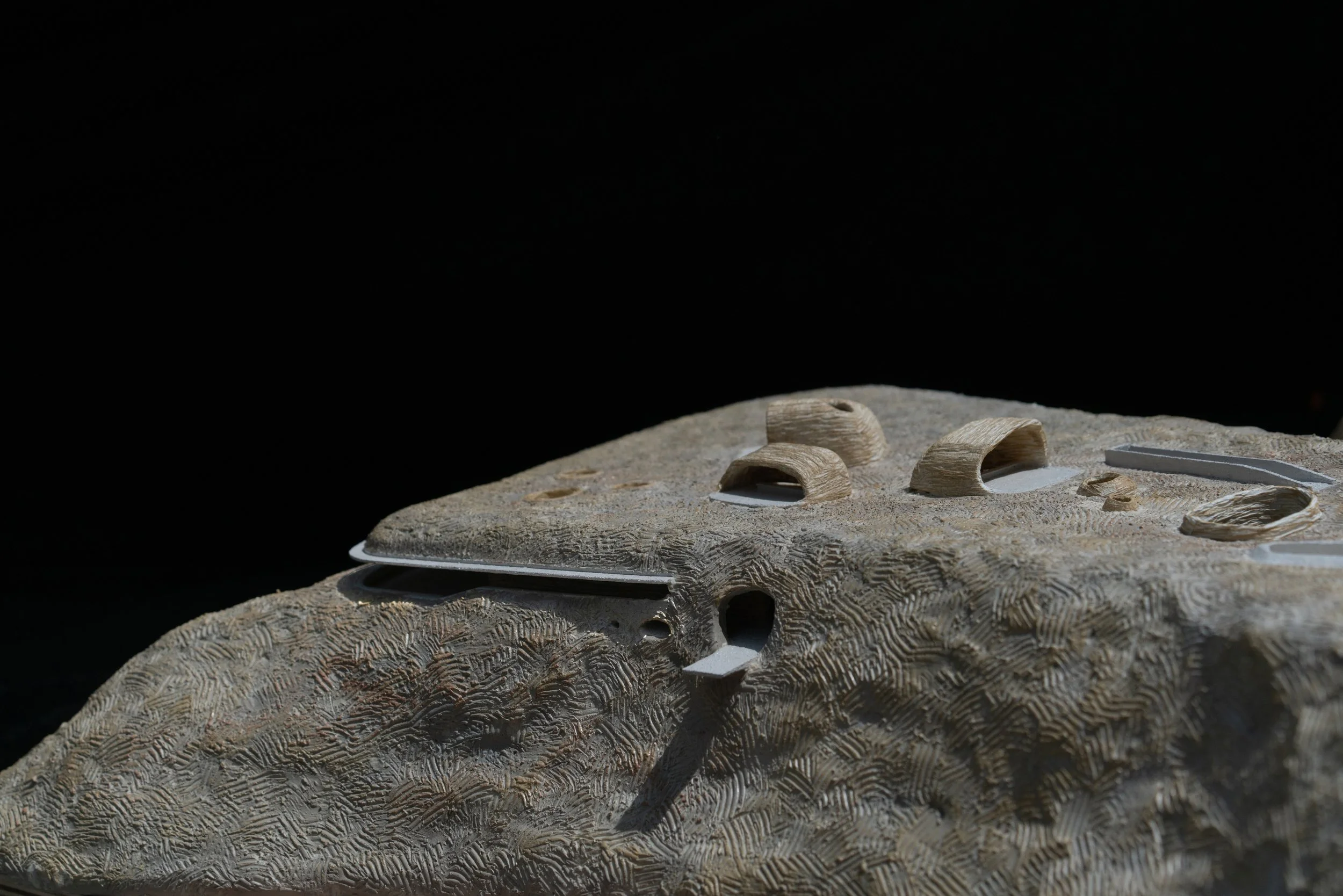 Close-up of a detailed model or sculpture of a dinosaur skull, focusing on the textured surface and bony structures against a black background.