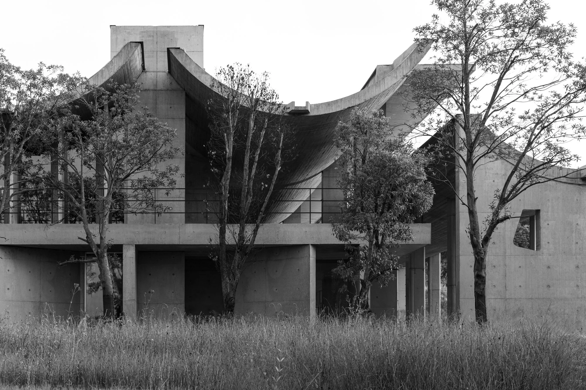 Black and white photo of modern architectural building with curved concrete structures, trees in foreground, open green space at base.