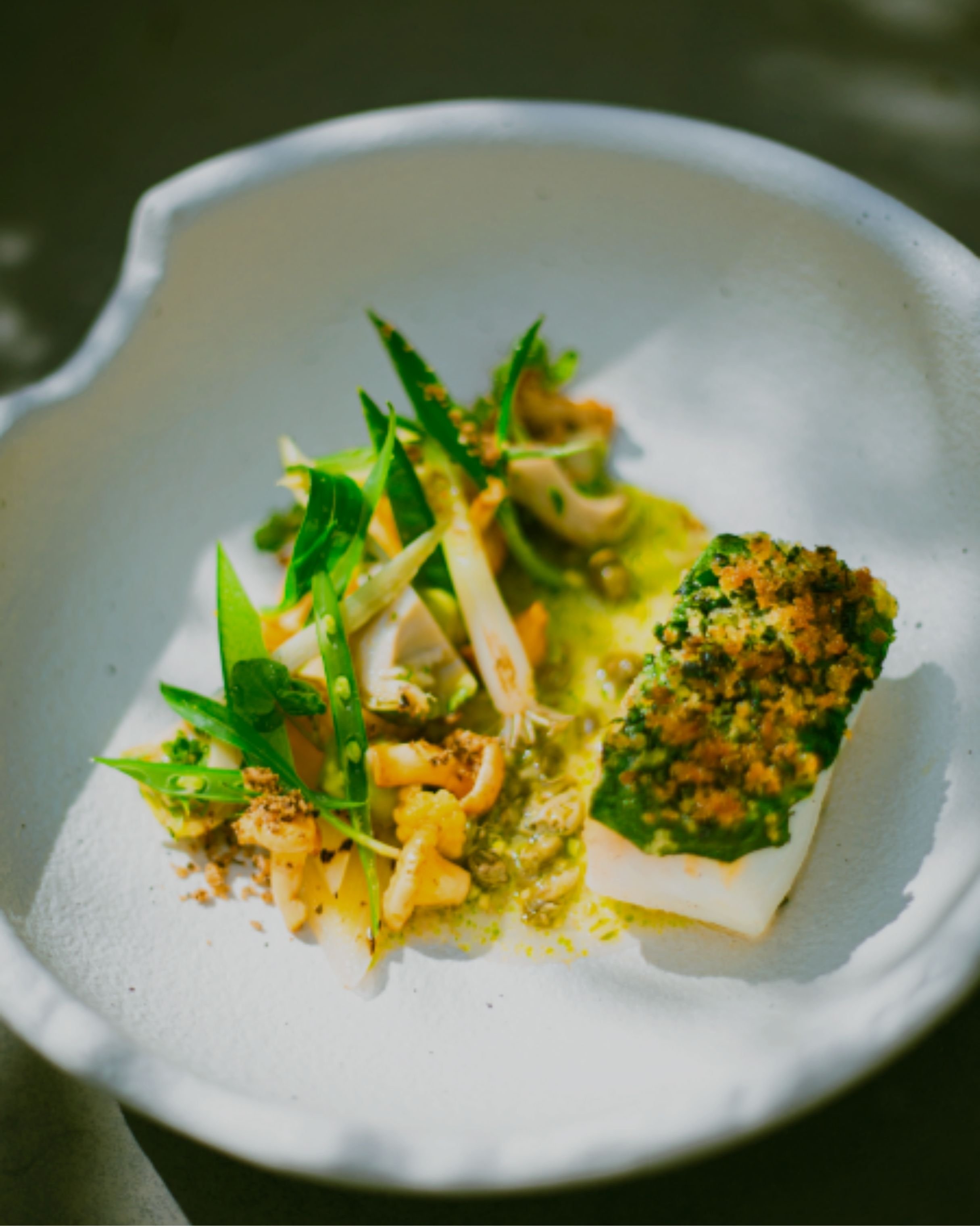 Plated dish, editorial food photography Bruges