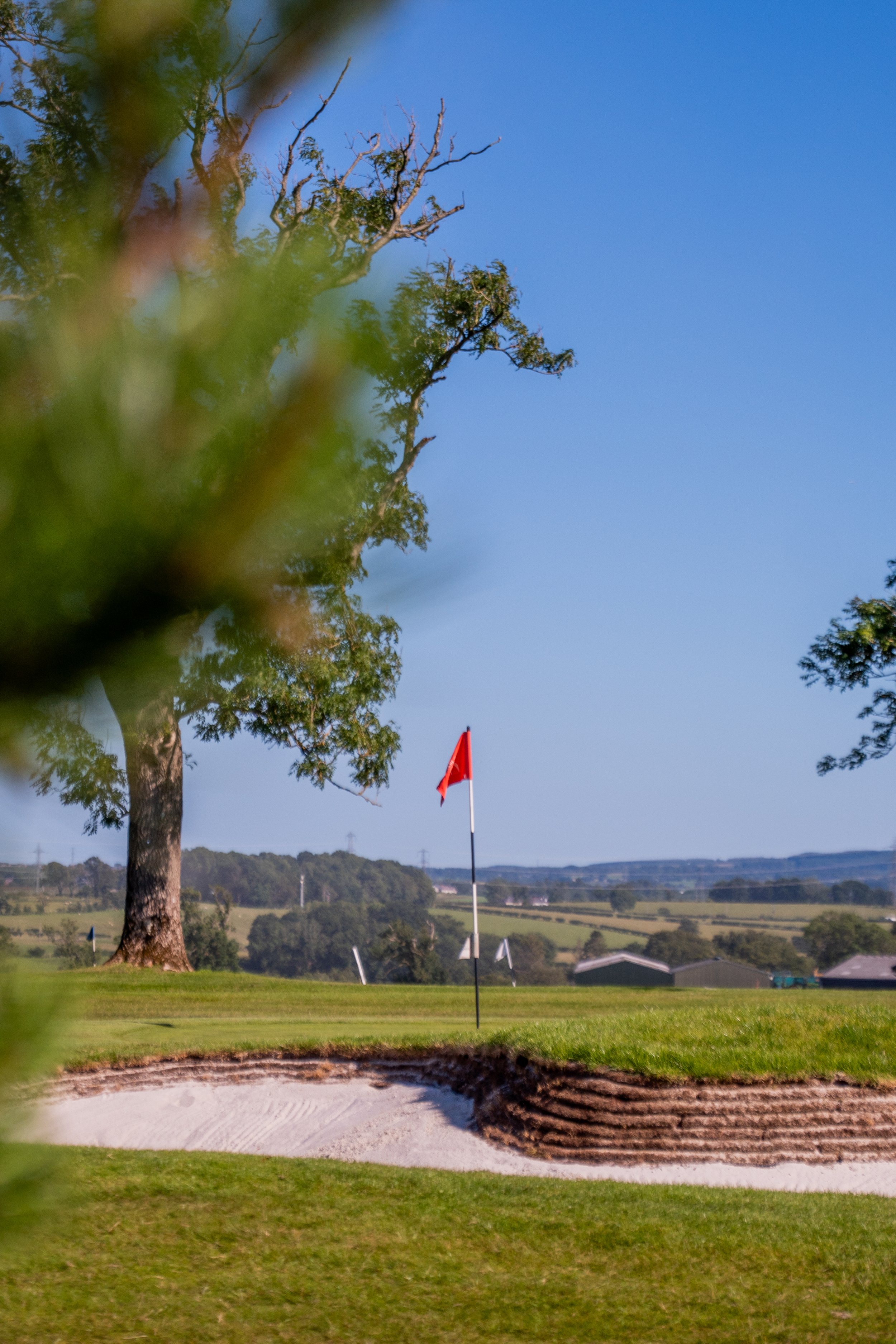 A golf course with a sand trap, a red flag on a golf hole, a large tree, and a distant landscape under a mostly clear blue sky.